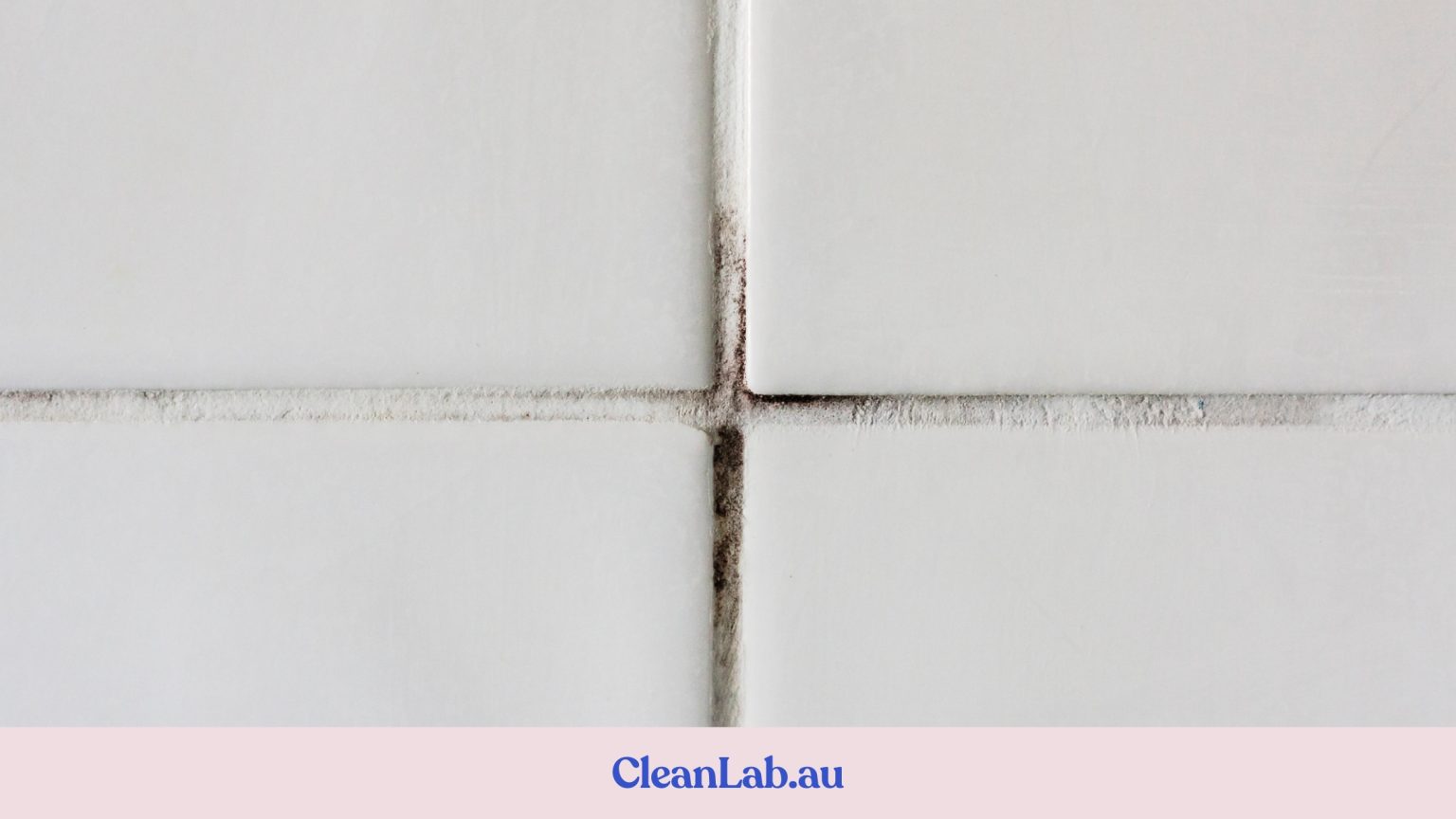 The Best Mould Remover in Australia 2023 Guide CleanLab